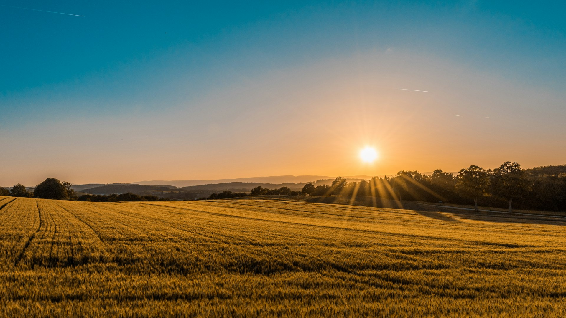 Pôr do sol dourado sobre lavoura agrícola - Sucessão Familiar Rural