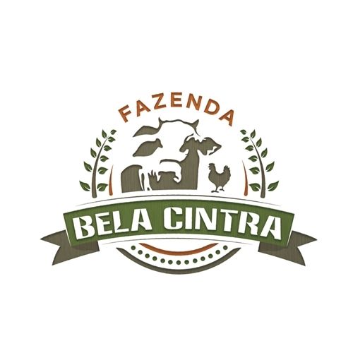 Cliente 5